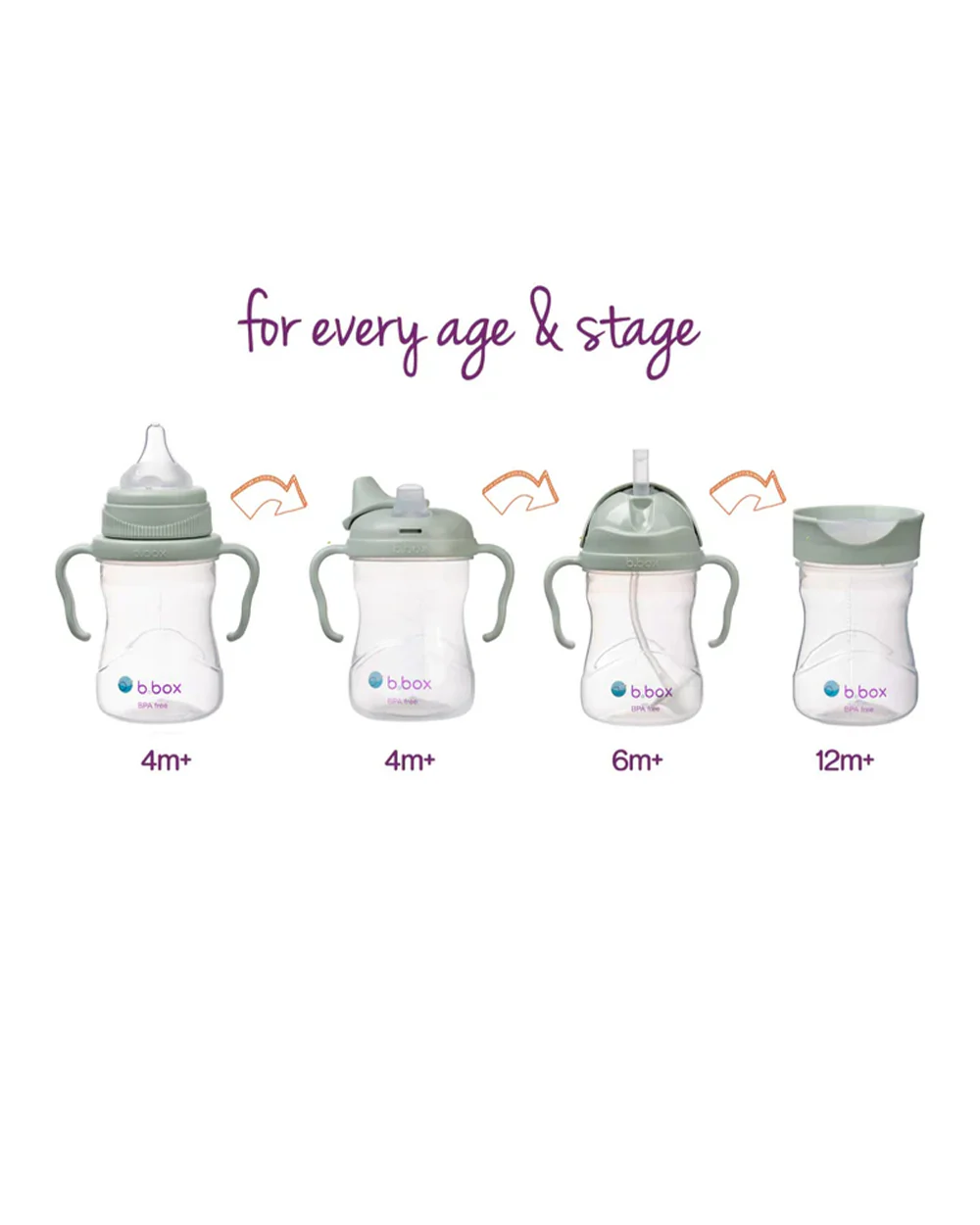 b.box Transition Value Pack-One Cup with 4 Lids for Every Stage of Growth (3M to 12M+) : Includes Medium Flow Teat, Soft Spout, Weighted Straw & Training Cup Lids-Sage Green-240 ml - Image 19