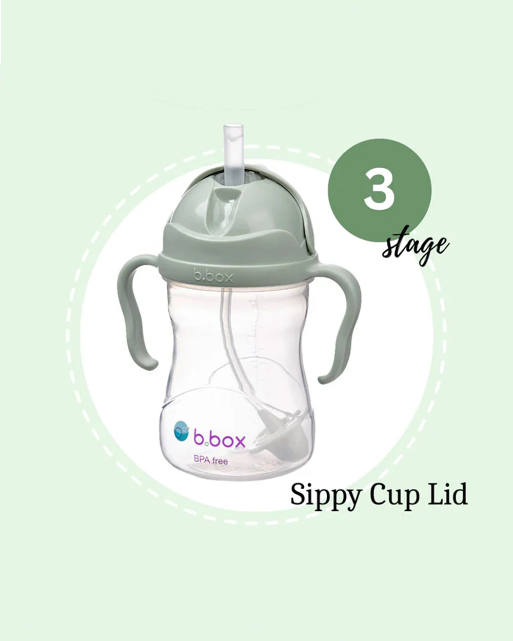 b.box Transition Value Pack-One Cup with 4 Lids for Every Stage of Growth (3M to 12M+) : Includes Medium Flow Teat, Soft Spout, Weighted Straw & Training Cup Lids-Sage Green-240 ml - Image 8