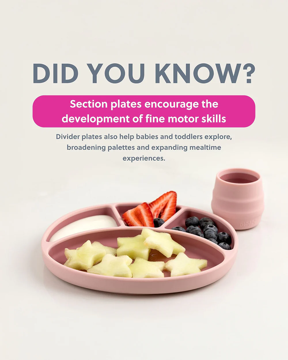 Bibado Silicone Divider Plate-Blush-With Suction Foot-Medical Grade-For Feeding Infants - Image 6