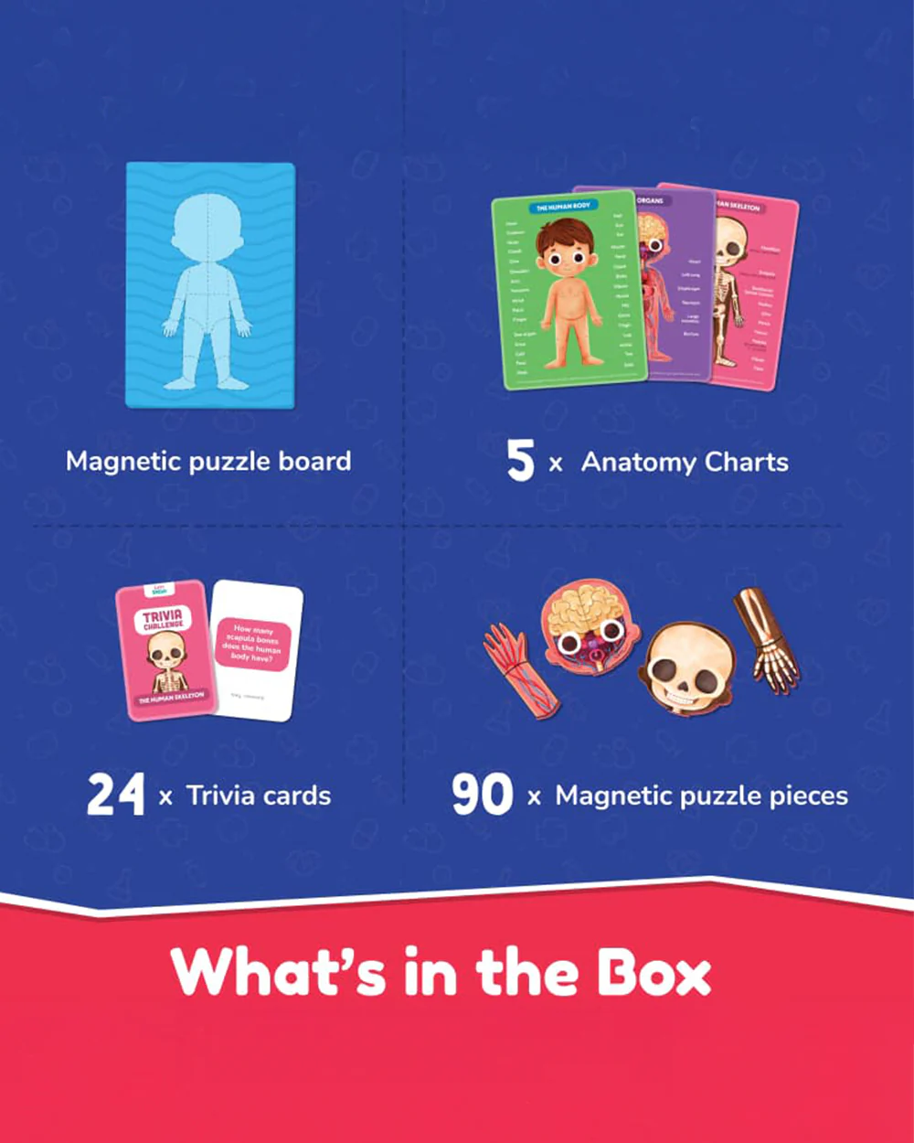 Bloomingo Human Body Puzzle-Includes 90 Pieces-Learning & Educational Toys-5Y+ - Image 2