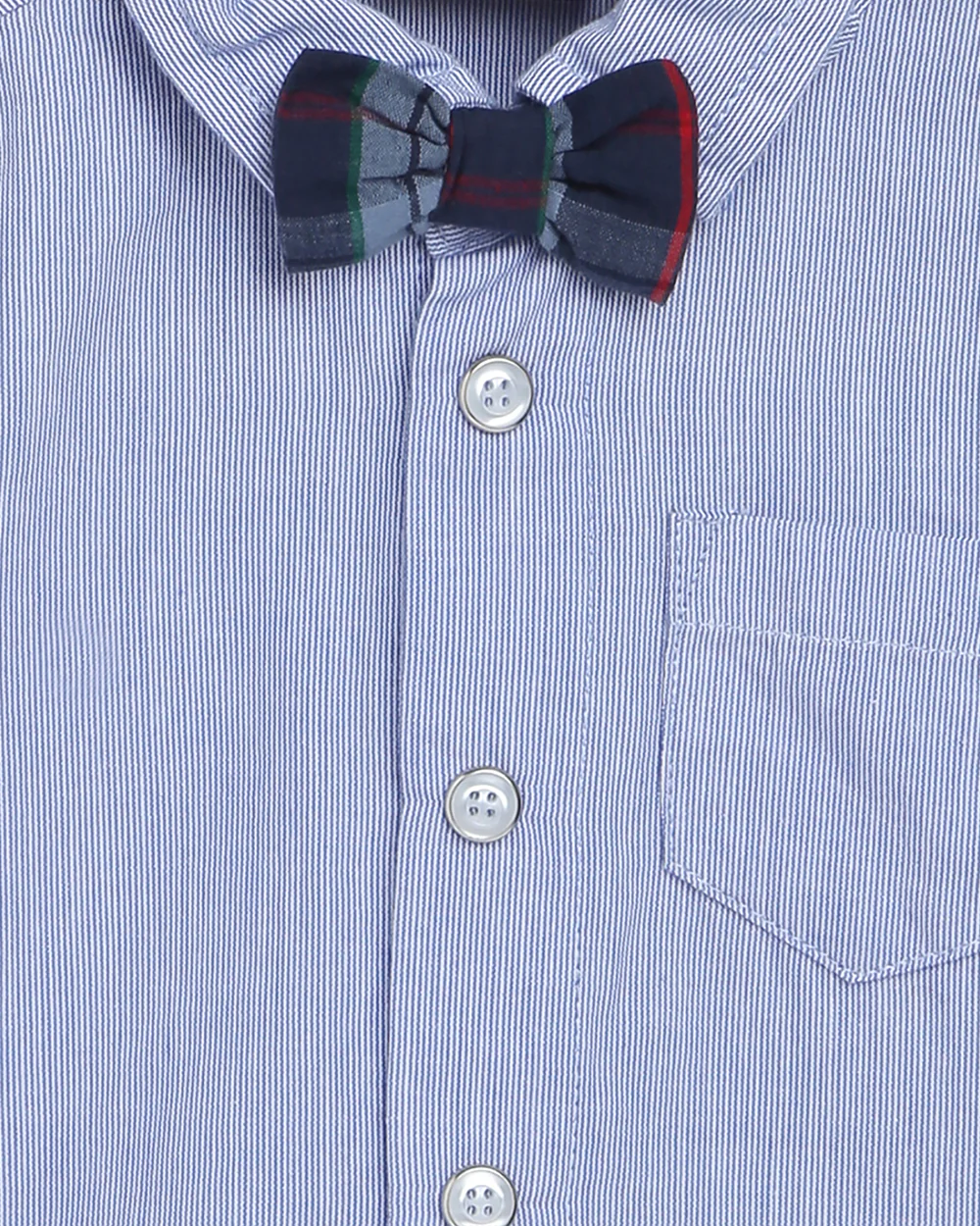 Chicco Light Blue Shirt-Solid-Cotton-For Infants - Image 4
