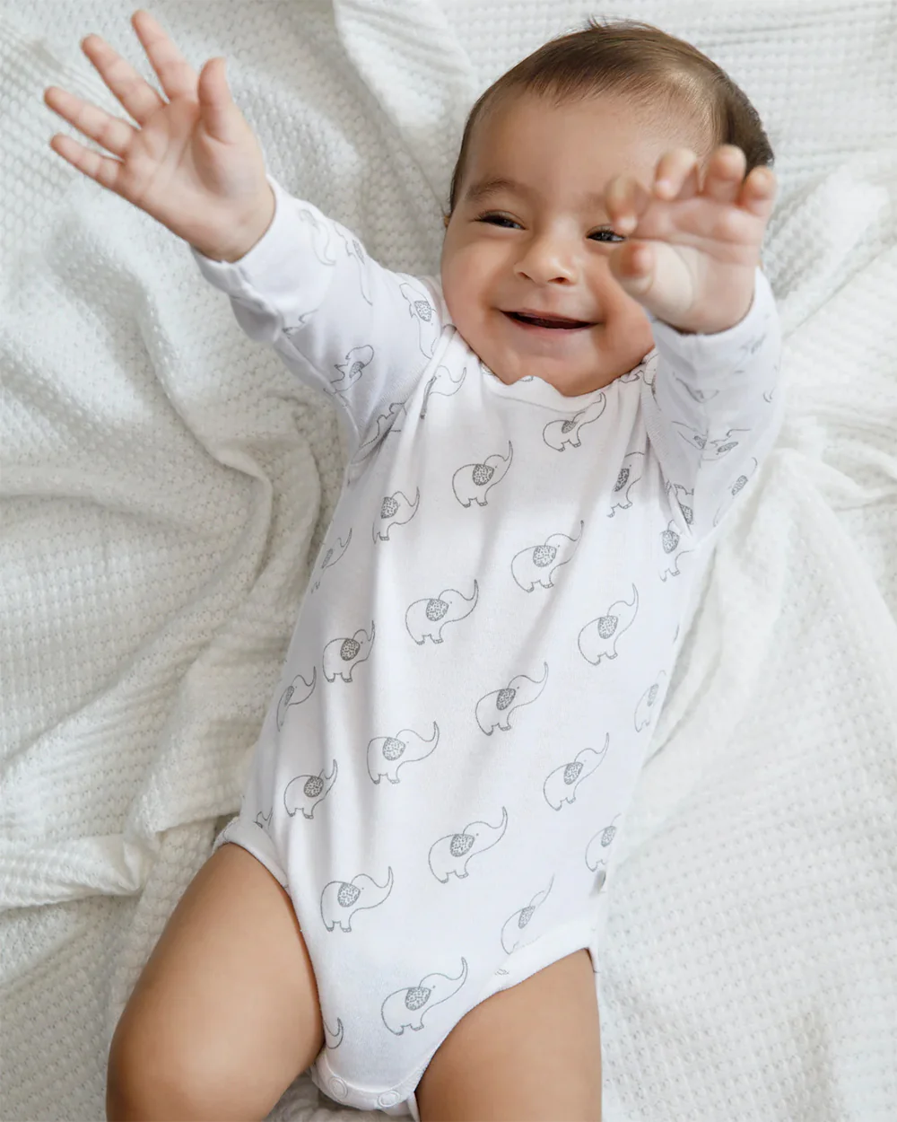 Cotton Bug White Bodysuit-Elephant-Organic Cotton-Full Sleeves-Pack of 3-For Infants - Image 2
