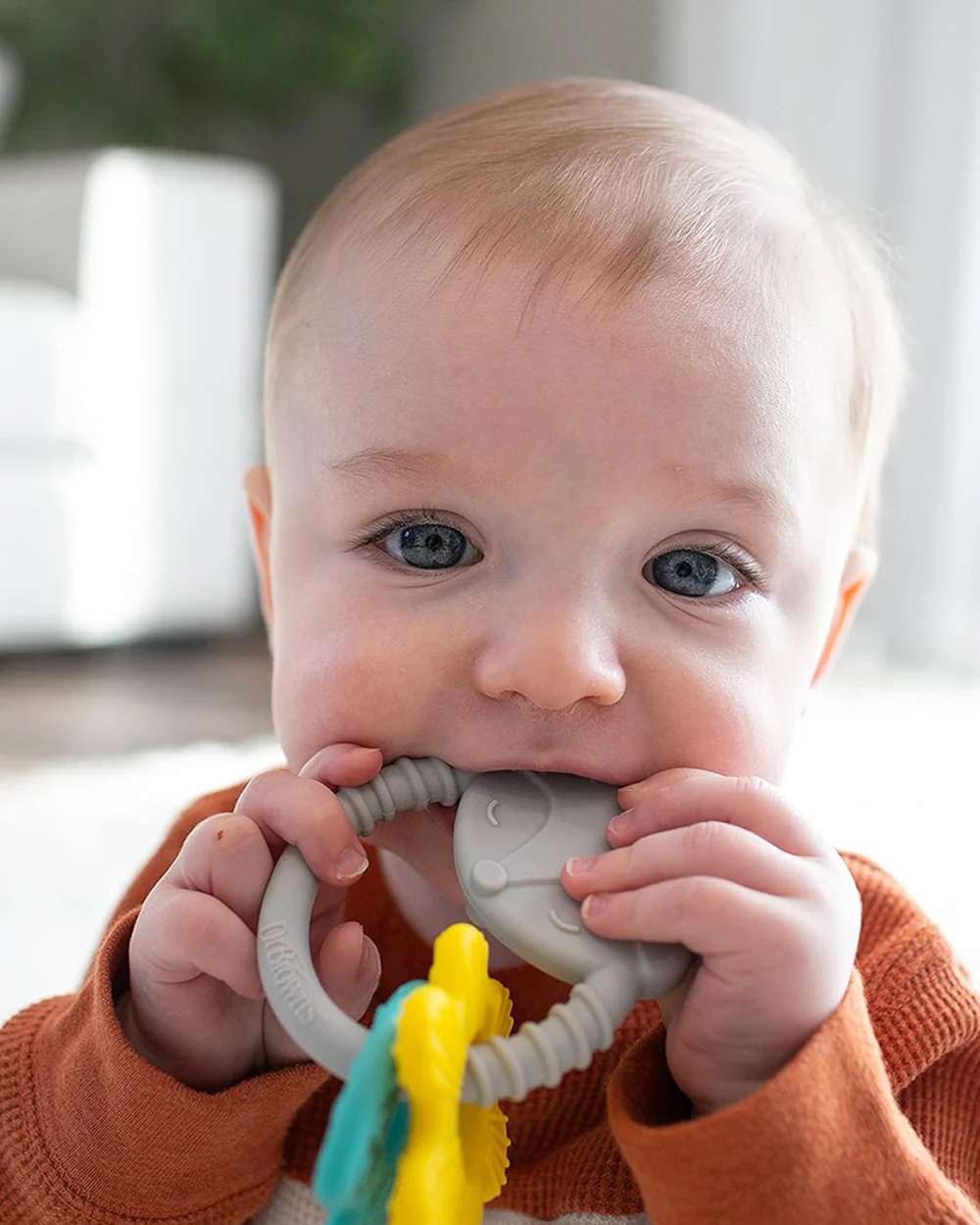 Dr. Brown's Fox Learning Loop Teether-Multicolor - Image 10