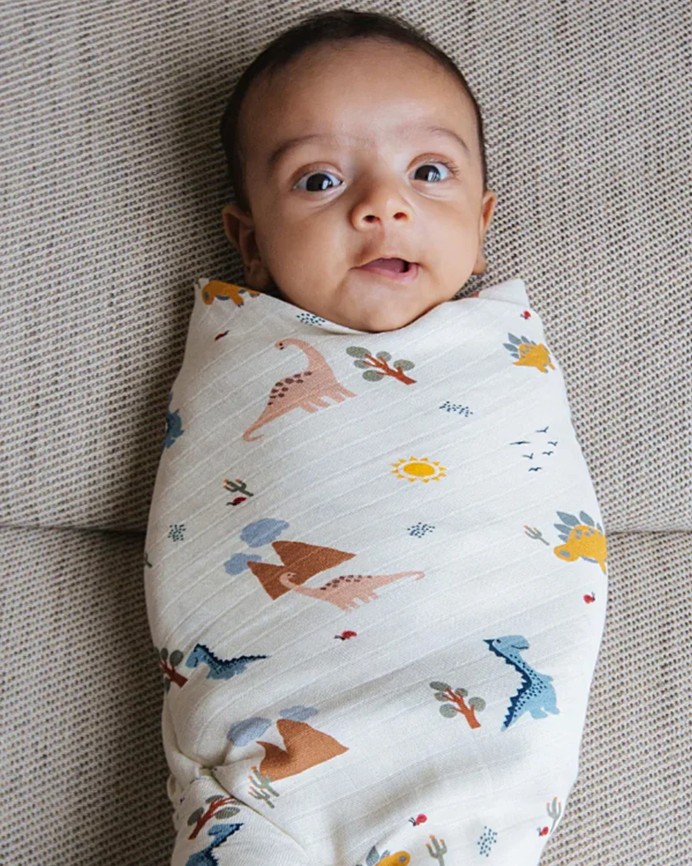 Dulaar A Day With Dinos Organic Muslin Swaddle-GOTS Certified Organic Cotton-Infant Wraps - Image 2