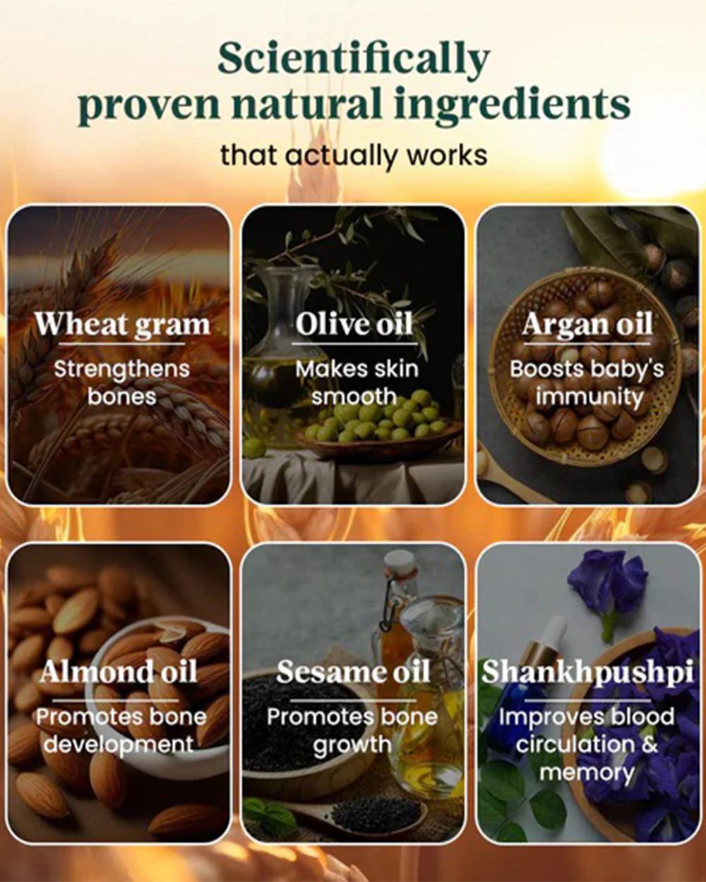 Healofy Naturals Baby Massage Oil-With Wheat Gram & Olive Oil - Image 5