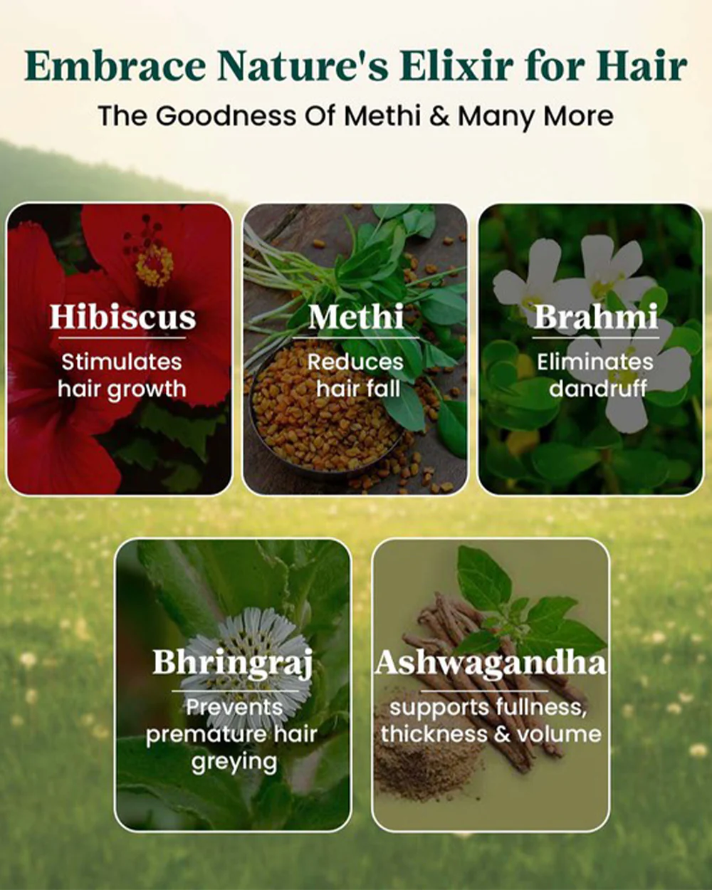 Healofy Naturals Methi Seed Hair Conditioner-Reduces Hair Fall-During & After Pregnancy - Image 9