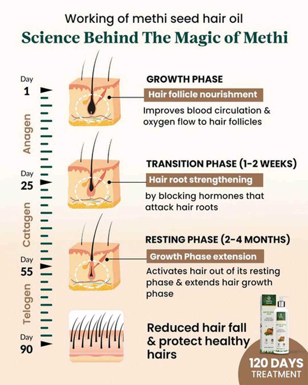 Healofy Naturals Methi Seed Hair Oil-Reduces Hair Fall-During & After Pregnancy - Image 3