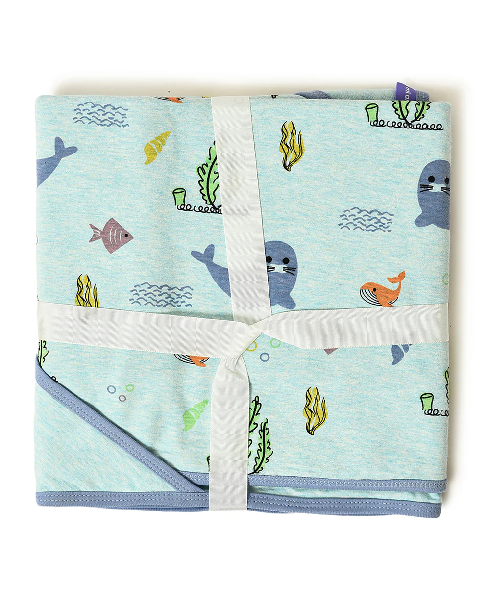 Mi Arcus Baby Coming Home Hooded Blanket-For Infants
