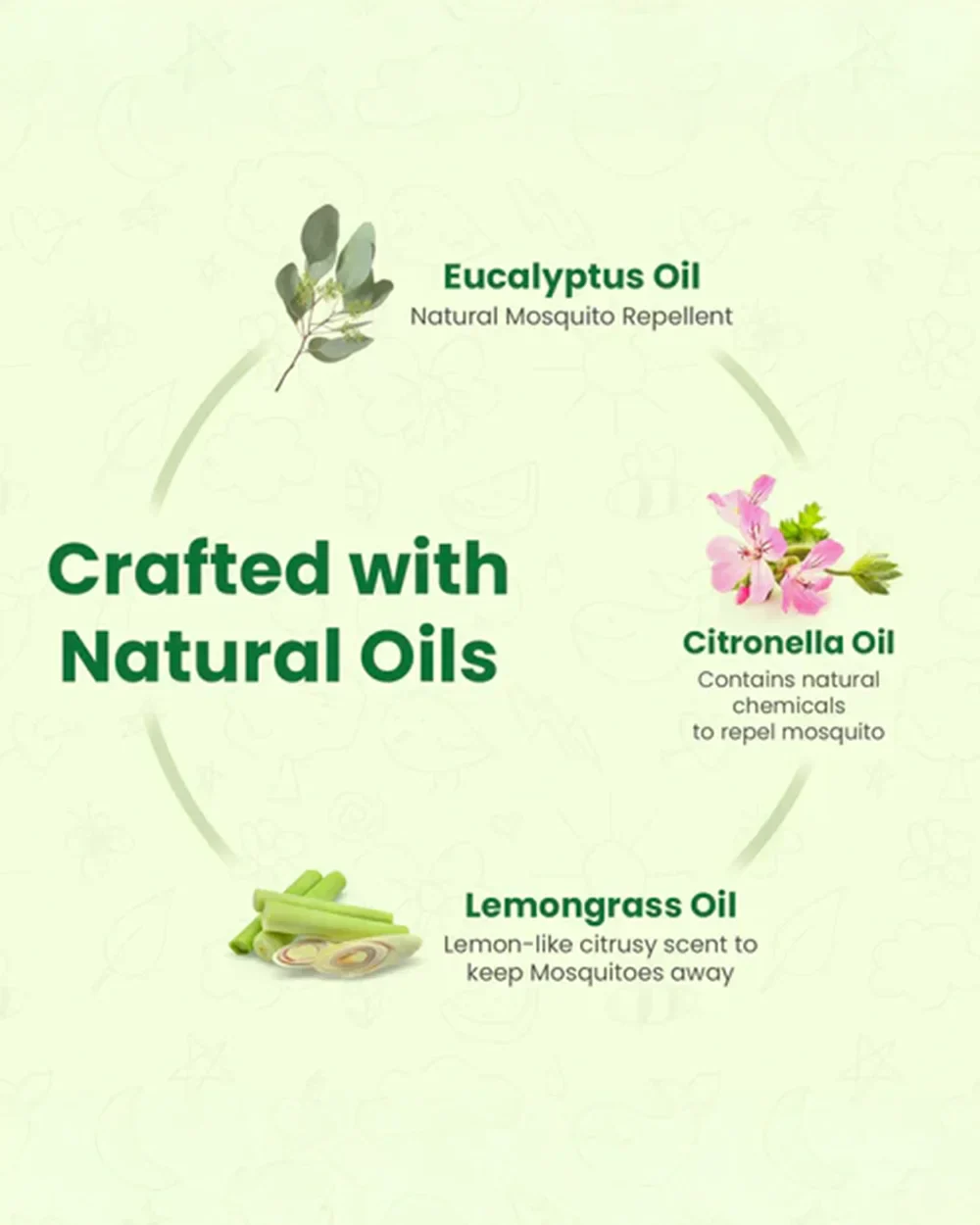 Mother Sparsh Cold Pressed Coconut Baby Massage Oil (200 ml), Natural Mosquito Repellent Spray & Nourishing Baby Hair Oil (100ml) - Image 12
