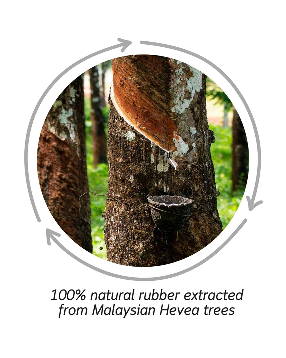 Oli & Carol Coco The Coconut-Natural Rubber Teether-Soft & Flexible-0M+ - Image 9