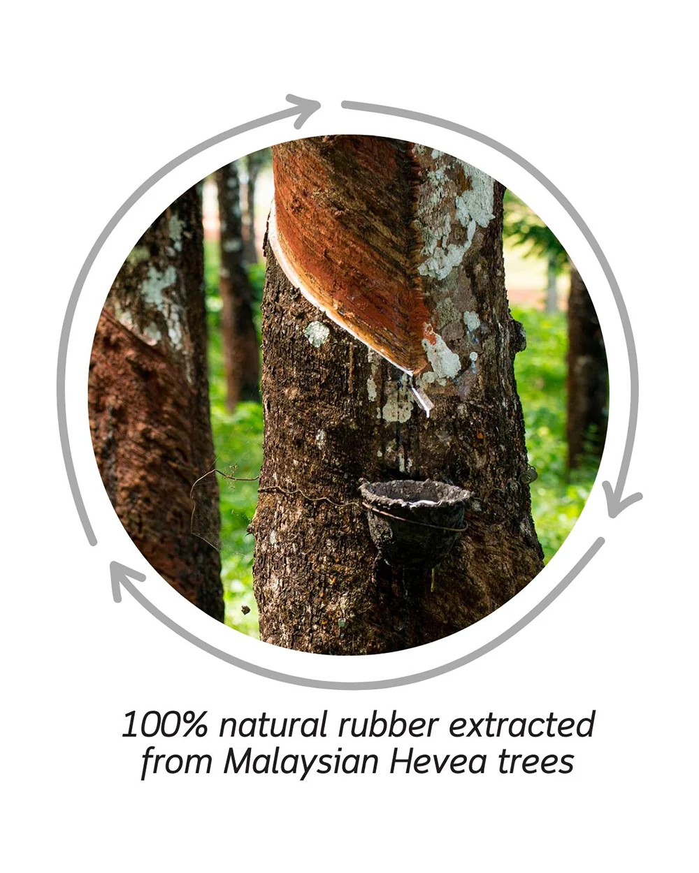 Oli & Carol Ramona The Radish-Natural Rubber Teether-Soft & Flexible-0M+ - Image 9
