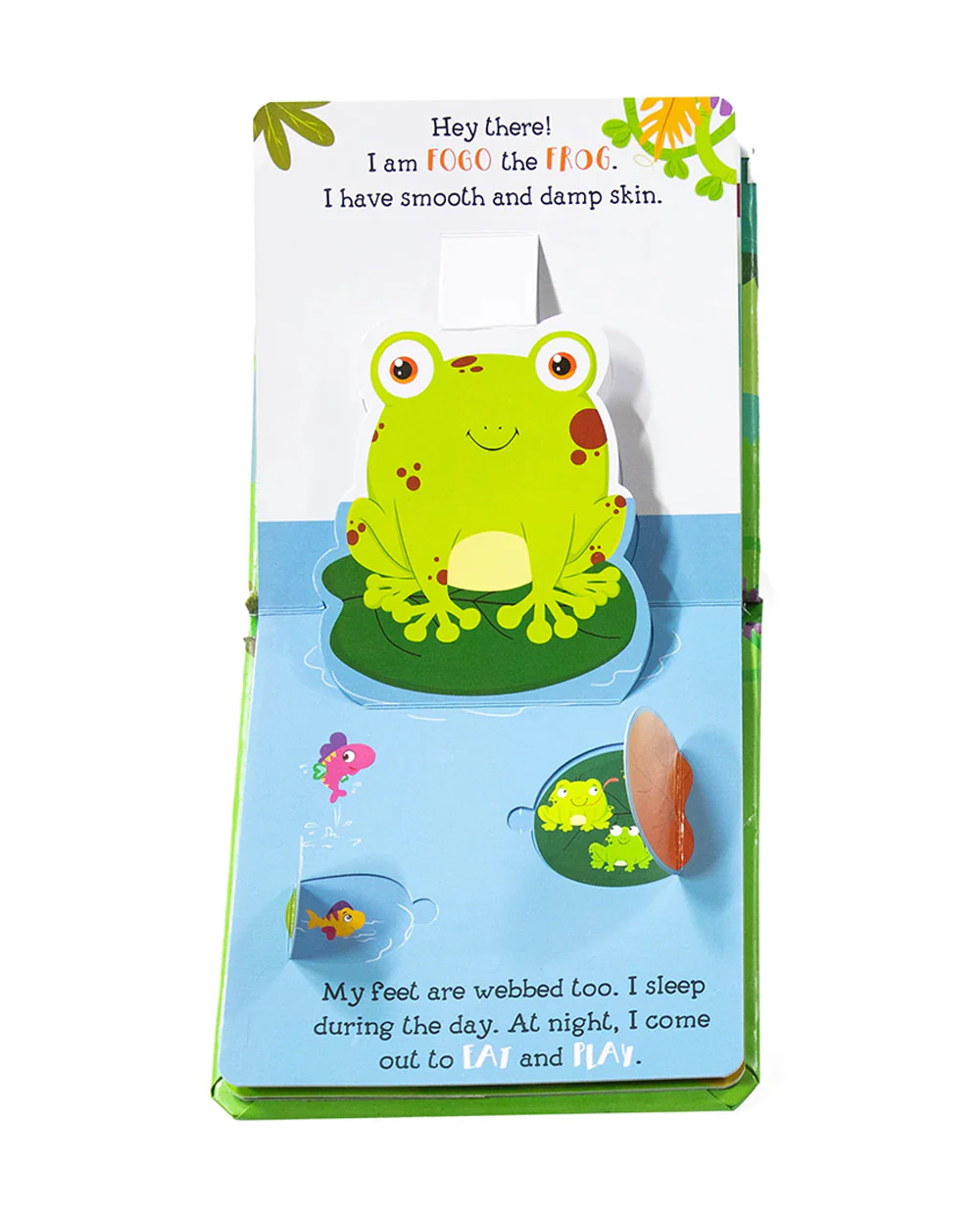 Pegasus Pop Up Book-Water World-6 Spread Padded Book With Pop Ups & Flaps-Develops Visual Recognition-Learning & Educational Toys-24M+ - Image 2