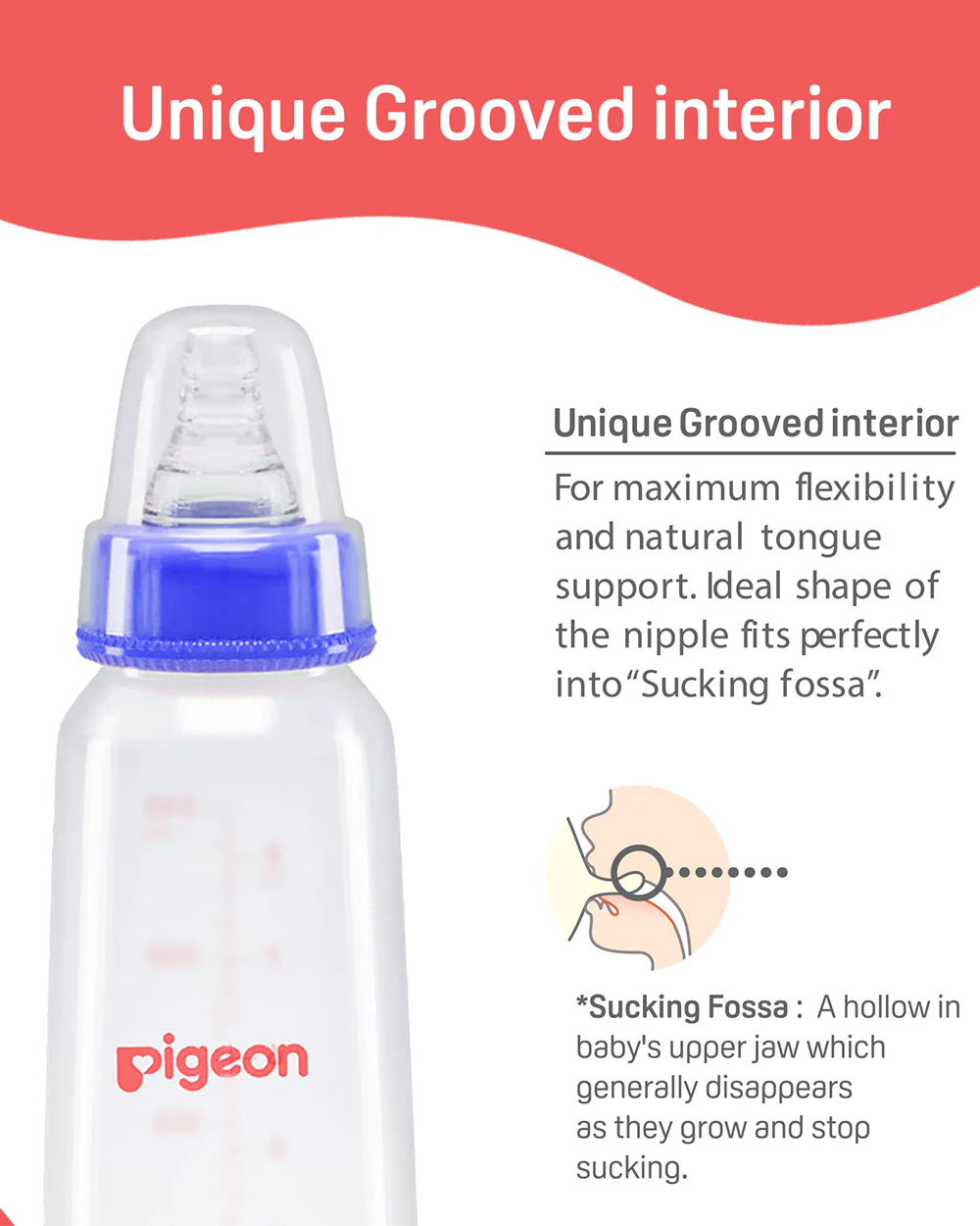 Pigeon Peristaltic Narrow Neck Feeding Bottle-Anti Colic-Adjustable Flow-240 ml-Large Size Nipple-Pack Of 2-Blue & White-9M+ - Image 4